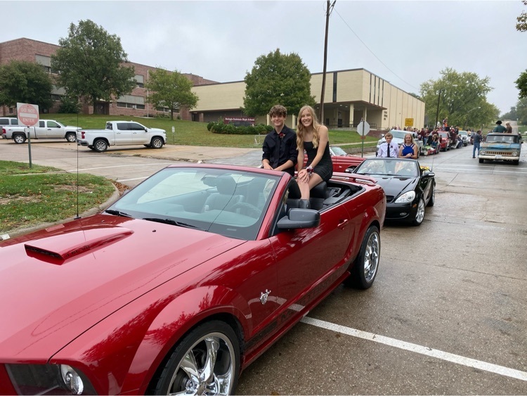 Senior homecoming attendants