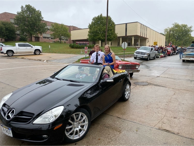 Senior homecoming attendants