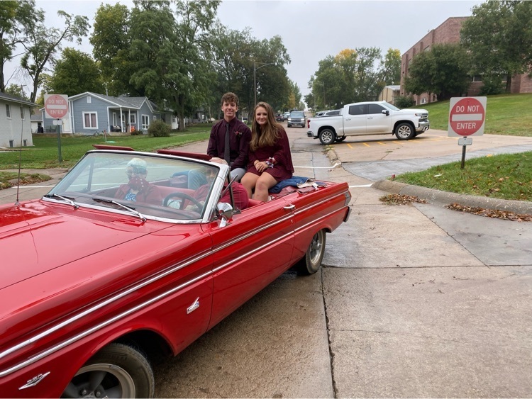 Senior homecoming attendants