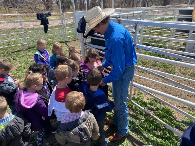 PM PreK and EW students at FFA ag rodeo